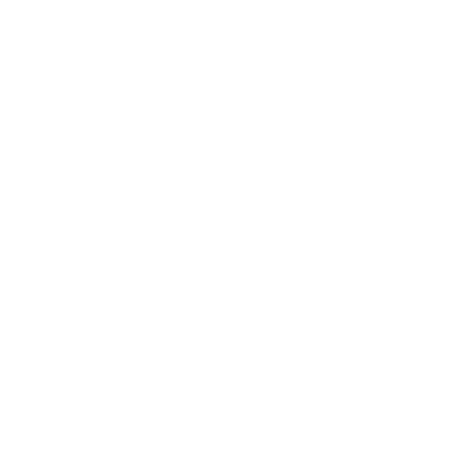 NETT-EXCELLENCE-LOGO-blanc